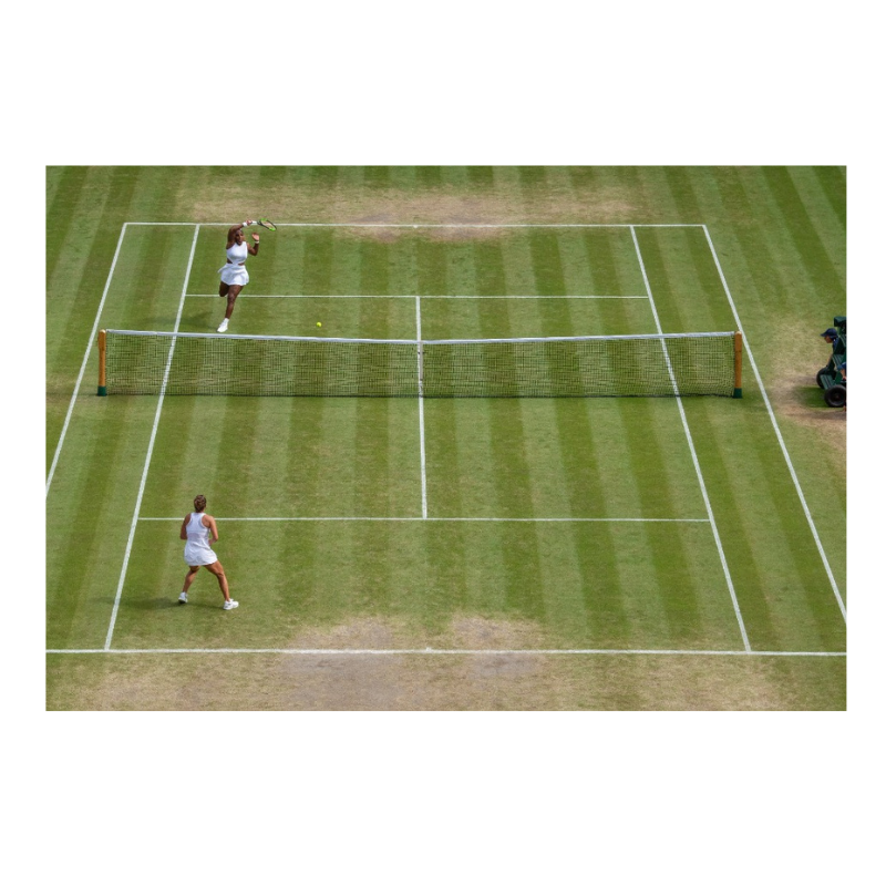 Serena Williams sur gazon, Wimbledon 2019