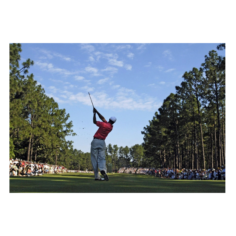 Tiger Woods à l'US Open, 2005