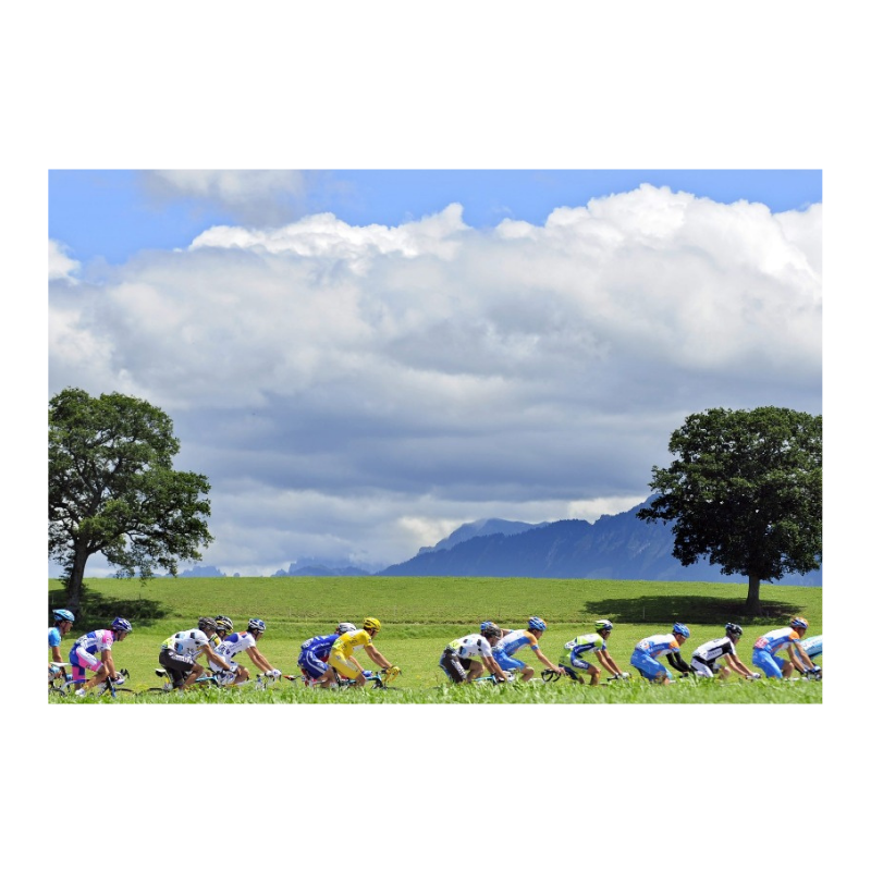 The Tour peloton in front of the mountains, 2009