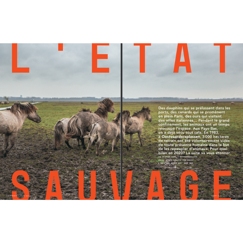 Society Best Of Nature, Vie Sauvage et Grands Espaces