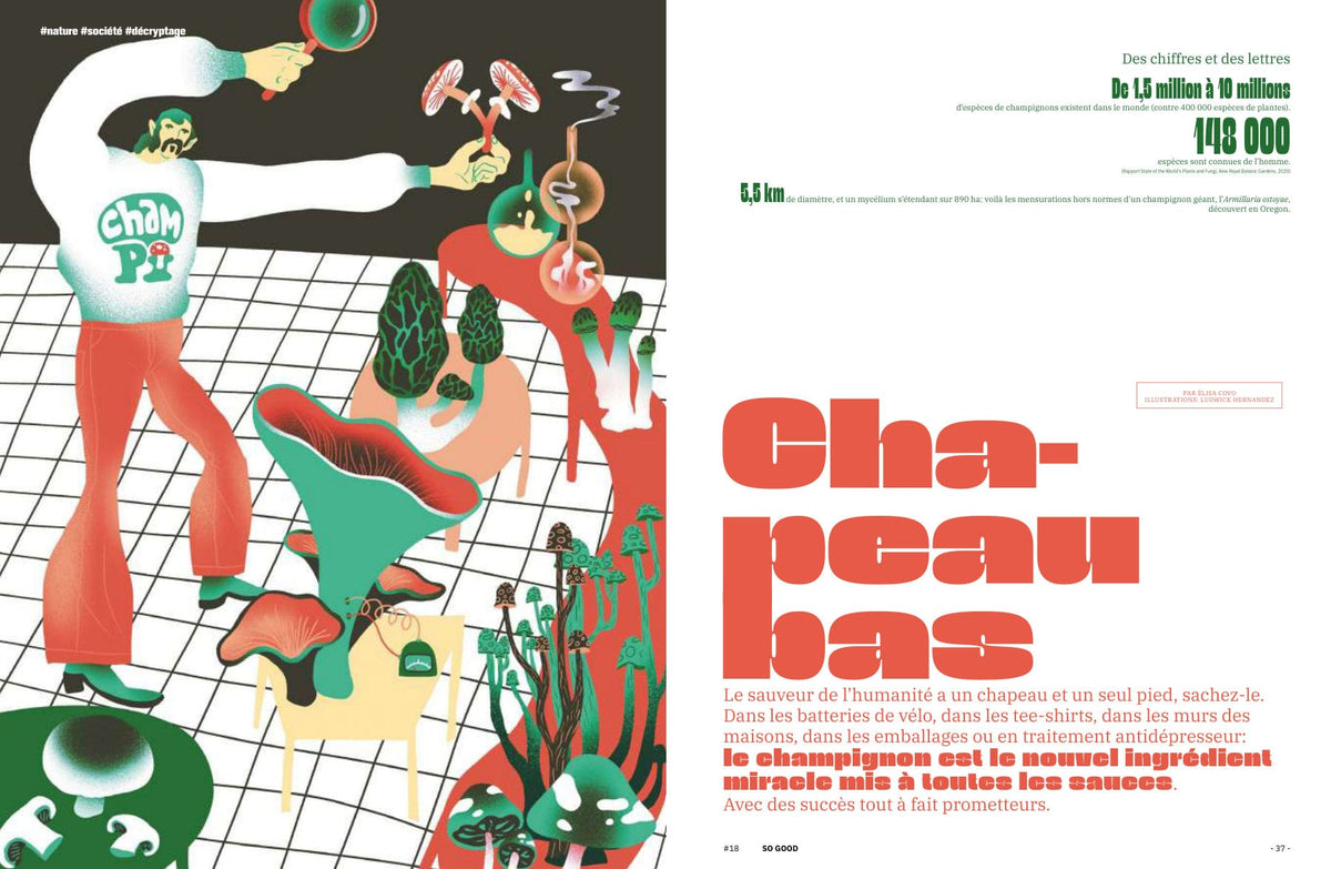 Double page 36-37 - SO GOOD #18