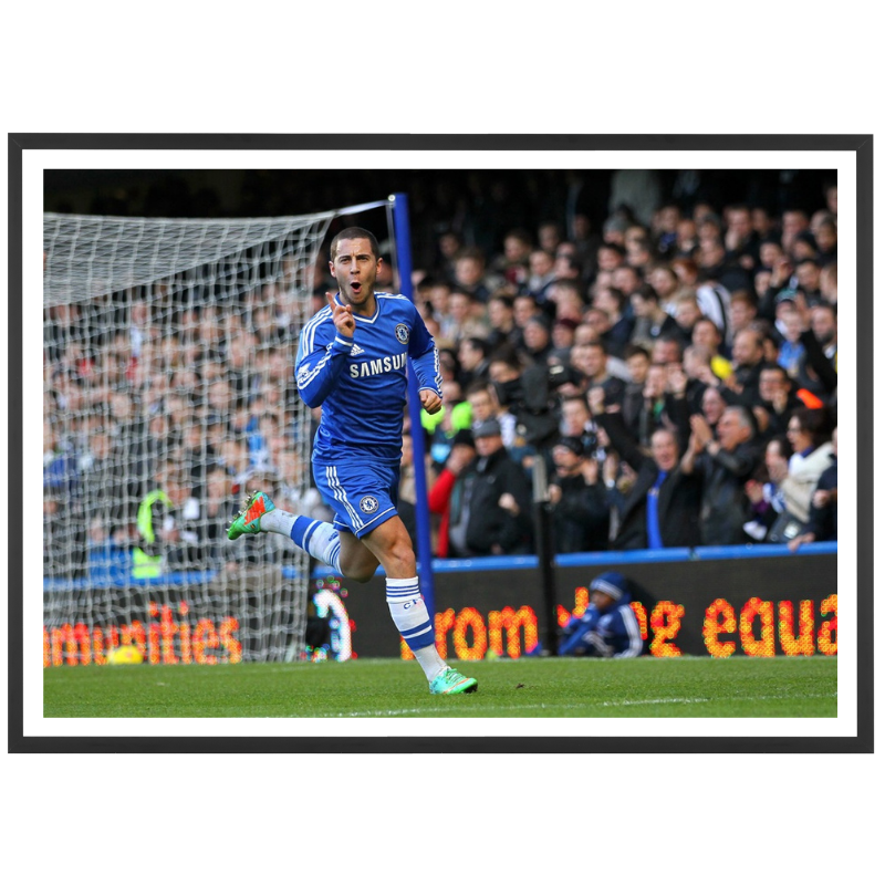 La gioia di Eden Hazard, 2014 