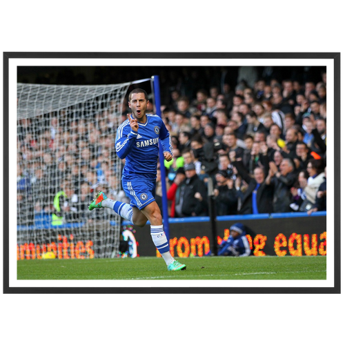 La gioia di Eden Hazard, 2014 