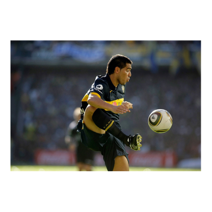 Juan Roman Riquelme, 2010