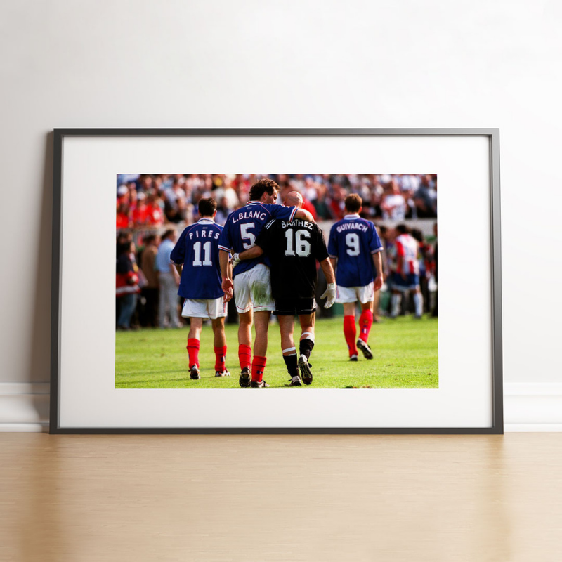 Blanc et Barthez, 1998