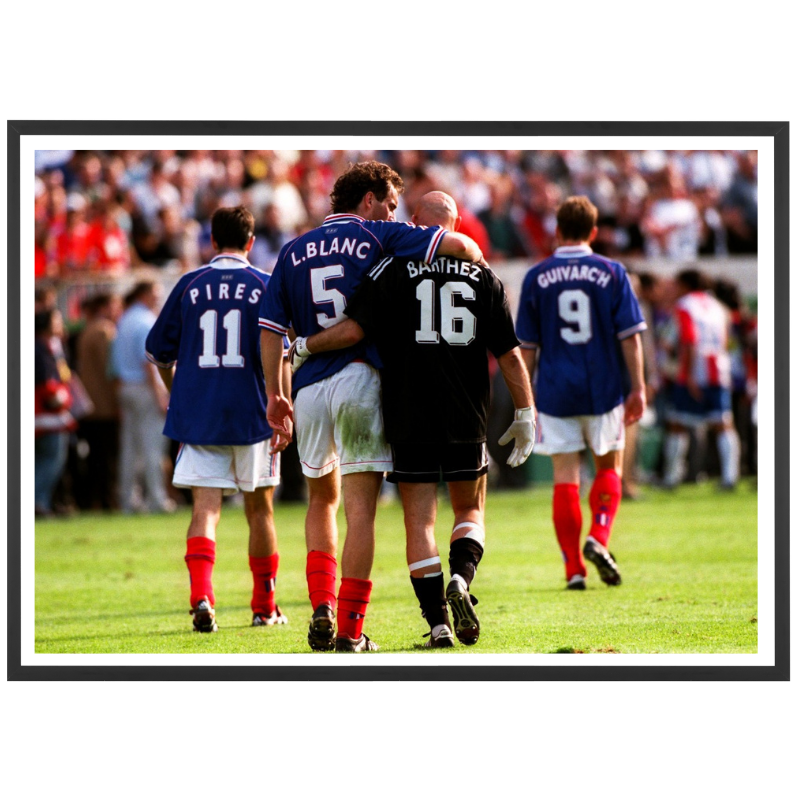 Blanc et Barthez, 1998