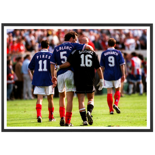 Blanc et Barthez, 1998