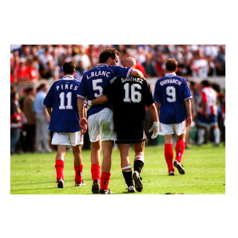 Blanc et Barthez, 1998