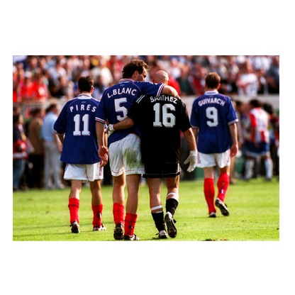 Blanc et Barthez, 1998