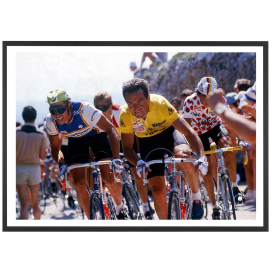 Bernard Hinault, 1985