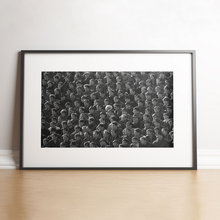 Charger l'image dans la galerie, 100 hommes et une femme dans un stade, 1973