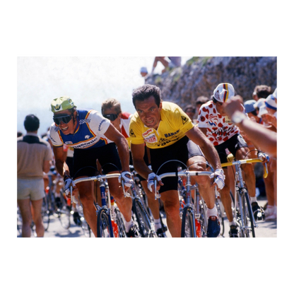 Bernard Hinault, 1985