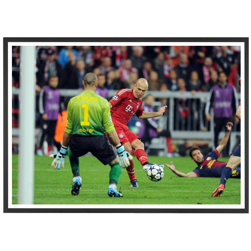 Robben trompe Victor Valdes, 2013