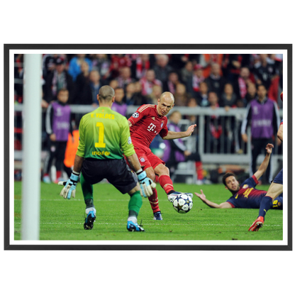 Robben trompe Victor Valdes, 2013