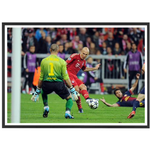 Robben trompe Victor Valdes, 2013