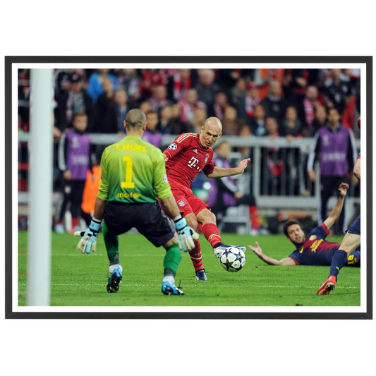 Robben trompe Victor Valdes, 2013