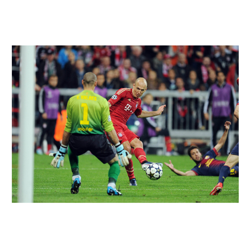 Robben trompe Victor Valdes, 2013