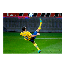 Load image into Gallery viewer, Aerial view of the San Siro, 2022