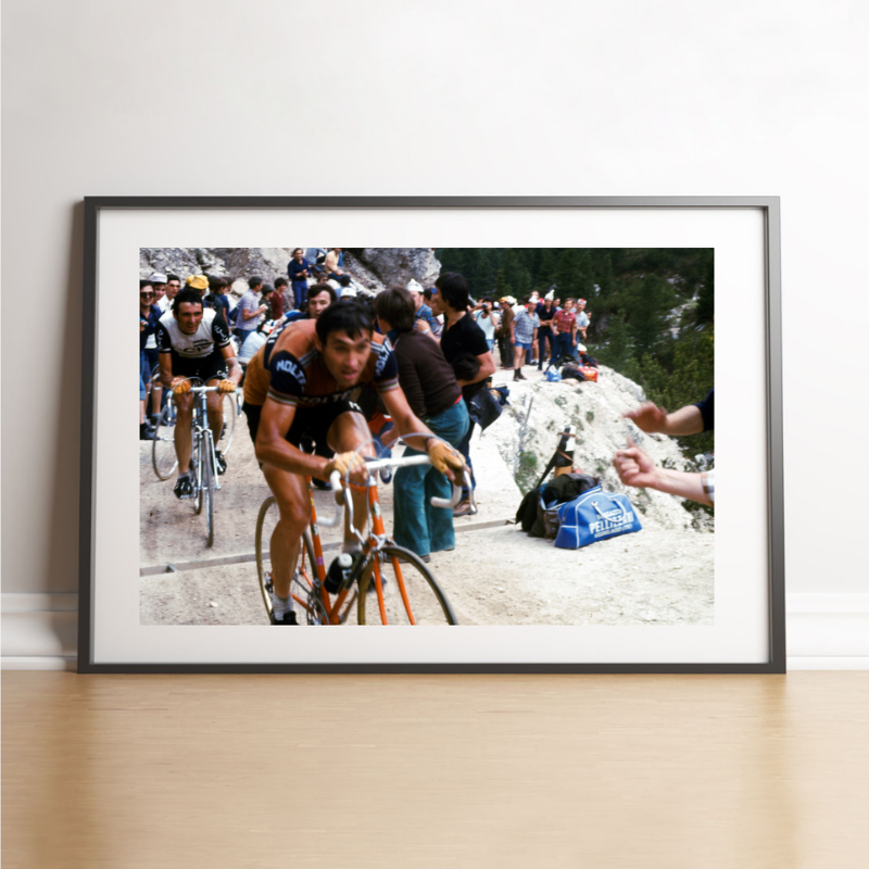 Eddy Merckx, Giro 1976