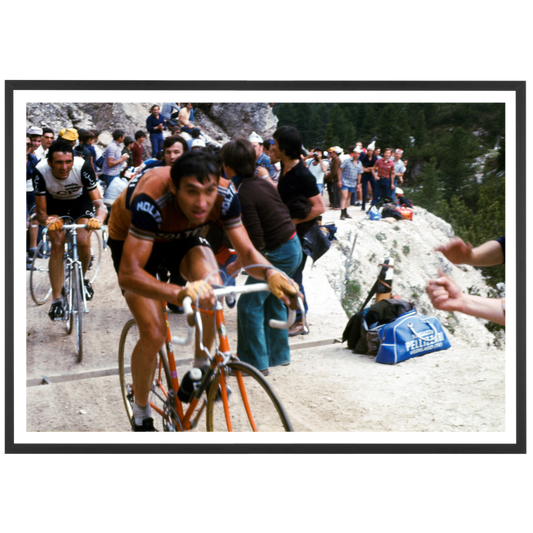 Eddy Merckx, Giro 1976