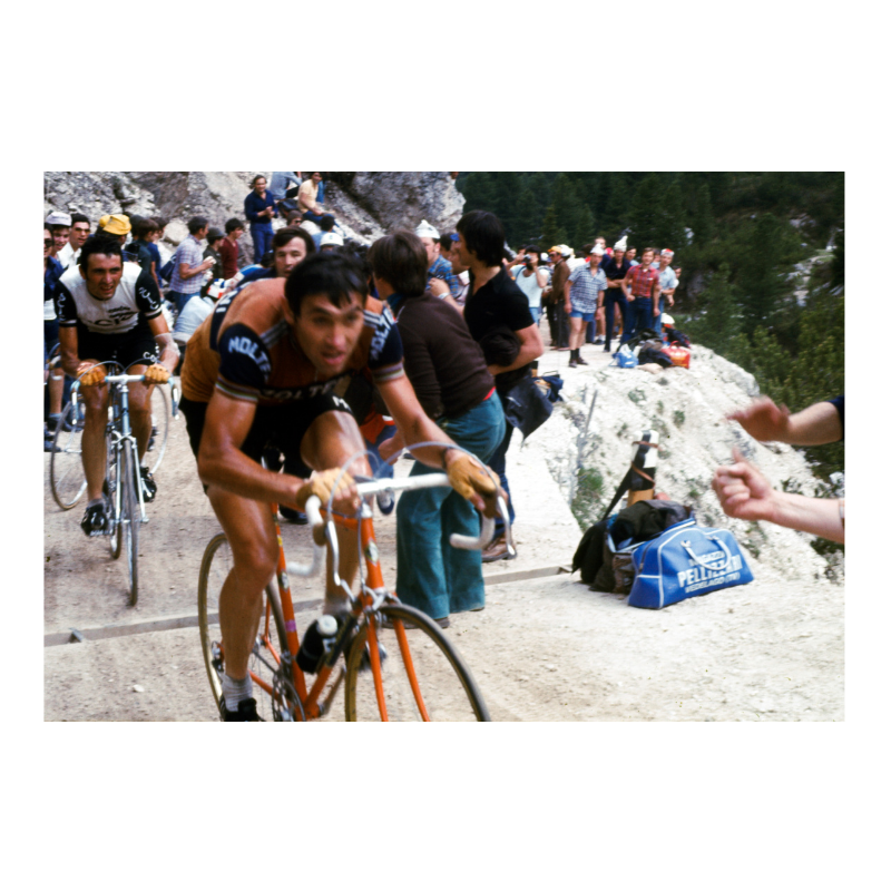 Eddy Merckx, Giro 1976