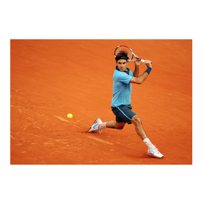 Roger Federer à Roland Garros, 2009