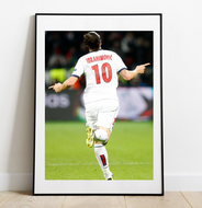 Zlatan Ibrahimovic au PSG, 2014