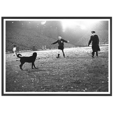 Charger l'image dans la galerie, Un chien sur la pelouse de Leeds, 1966