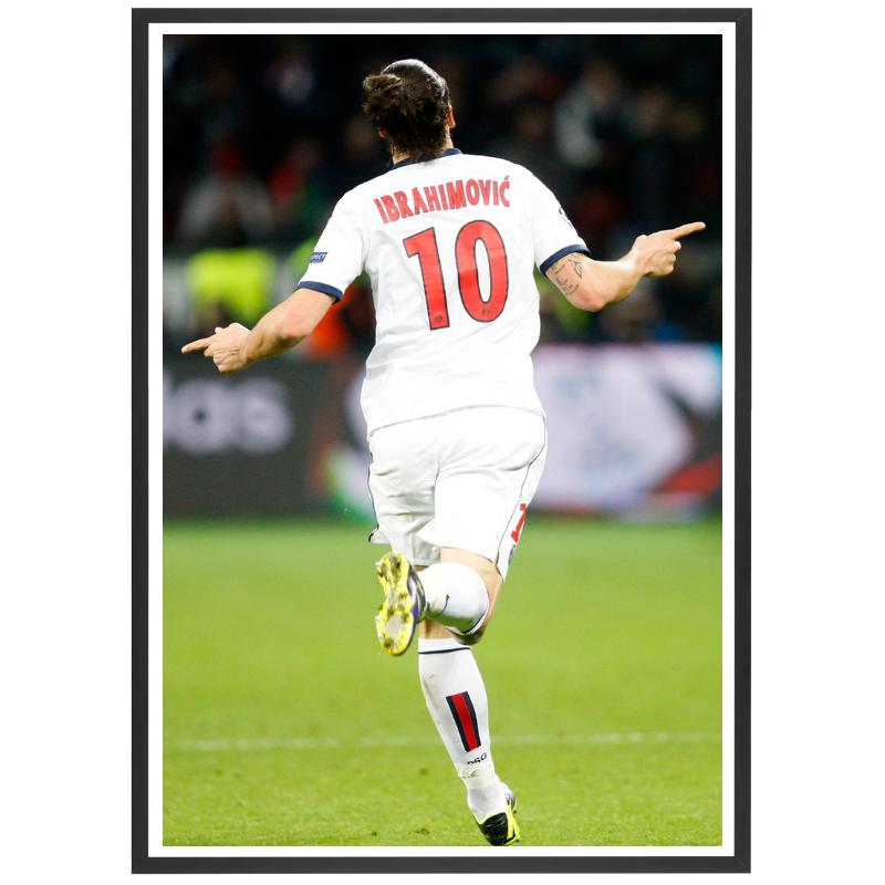 Zlatan Ibrahimovic au PSG, 2014