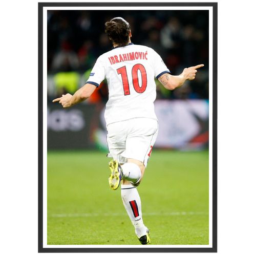 Zlatan Ibrahimovic au PSG, 2014