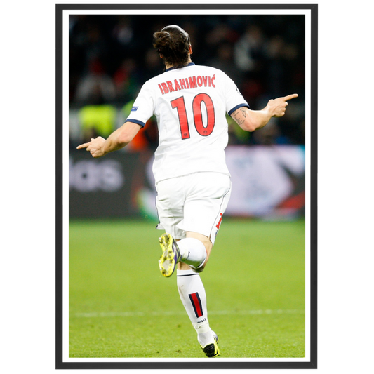 Zlatan Ibrahimovic au PSG, 2014