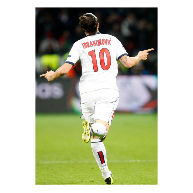 Zlatan Ibrahimovic au PSG, 2014