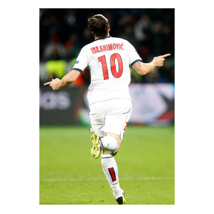 Zlatan Ibrahimovic au PSG, 2014