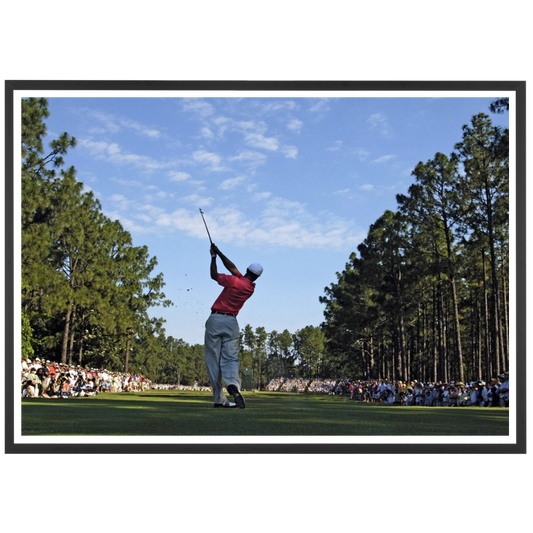 Tiger Woods à l'US Open, 2005