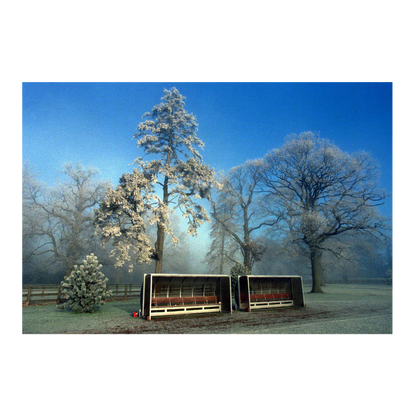 Banc de touche en hiver, 1999
