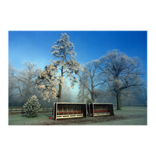 Load image into Gallery viewer, Sidelines in winter, 1999