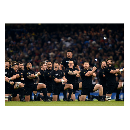 All Blacks Haka, 2015 