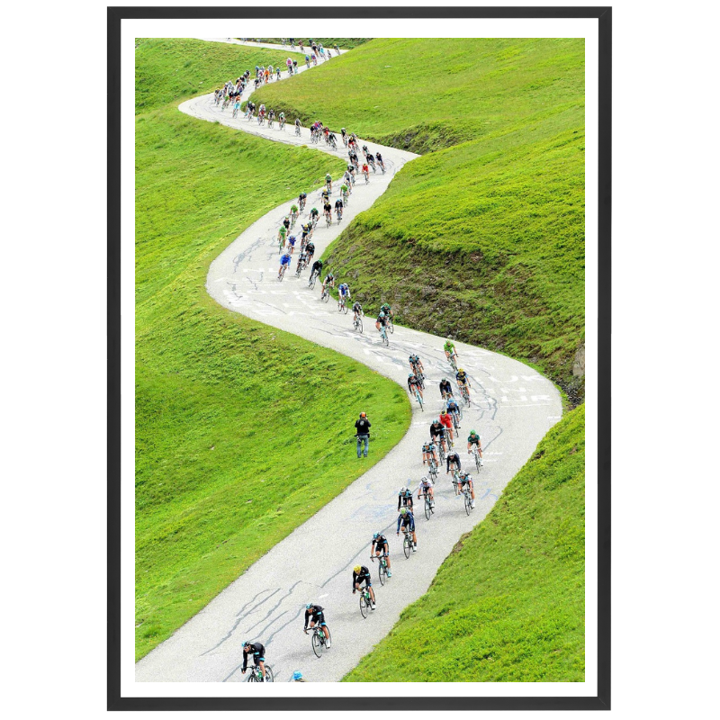 Descente alpestre, 2013
