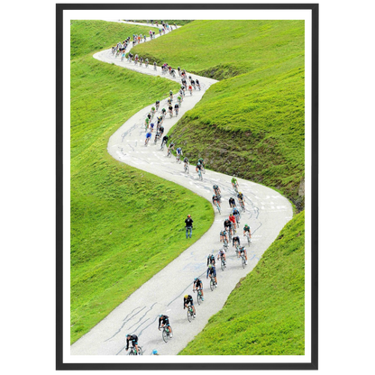 Descente alpestre, 2013