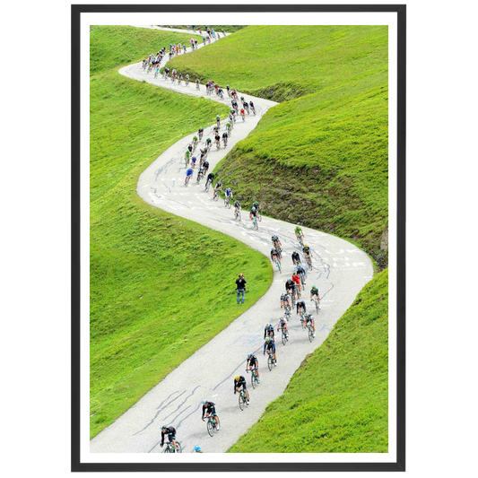 Descente alpestre, 2013