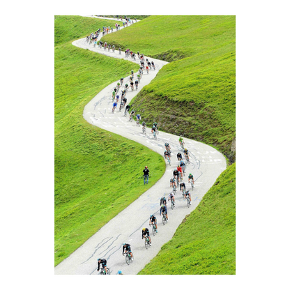 Descente alpestre, 2013