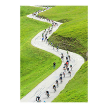 Charger l'image dans la galerie, Descente alpestre, 2013