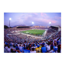 Charger l'image dans la galerie, Stade Vélodrome – 1991