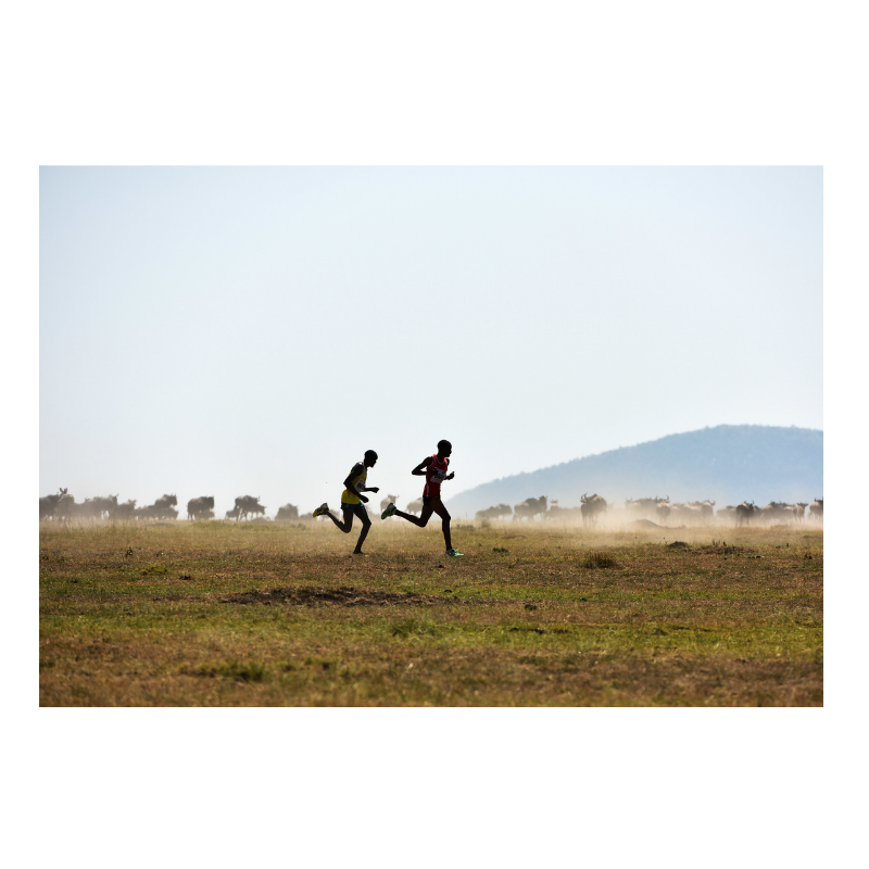 Marathon du Masai Mara, 2015