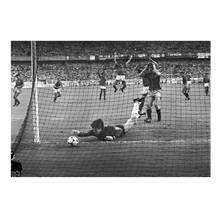 Load image into Gallery viewer, The Arconada meatball, 1984