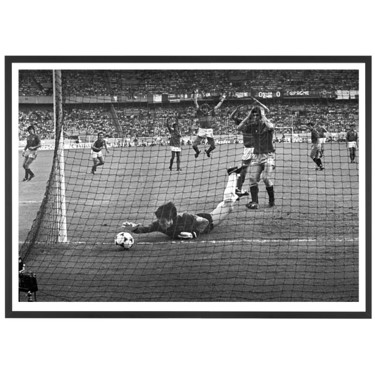 Polpetta di Arconada, 1984