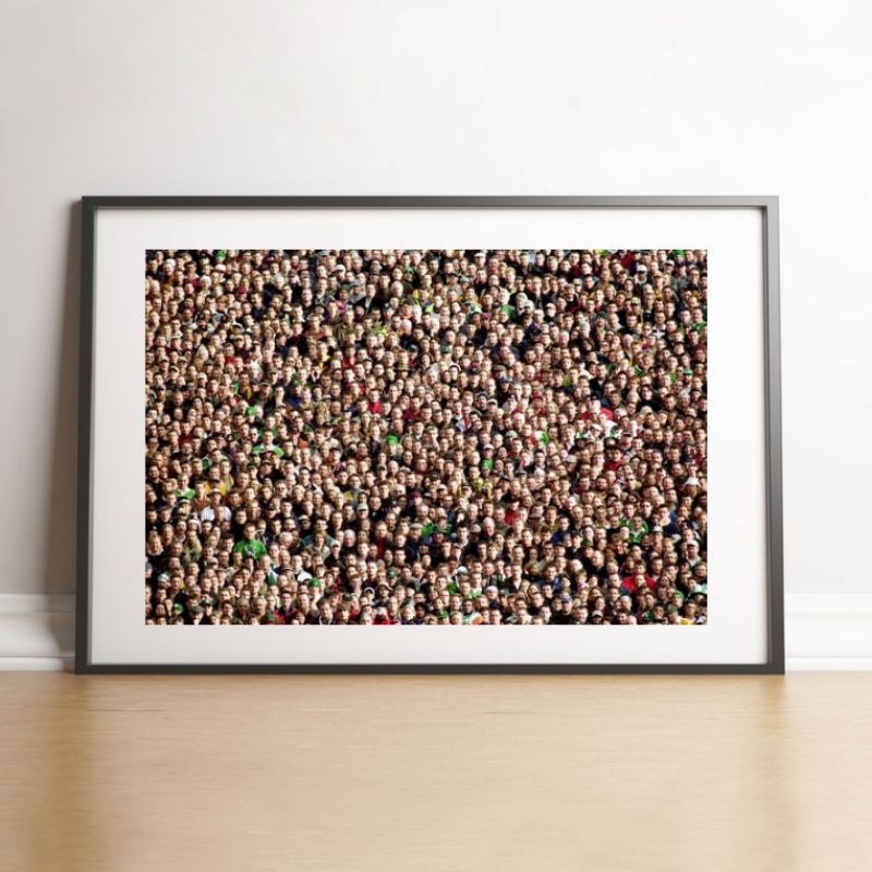 Public de Lansdowne Road, 1999