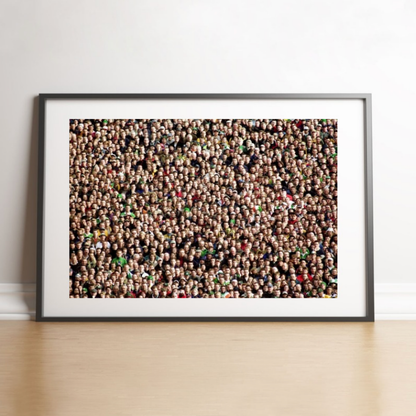 Public de Lansdowne Road, 1999