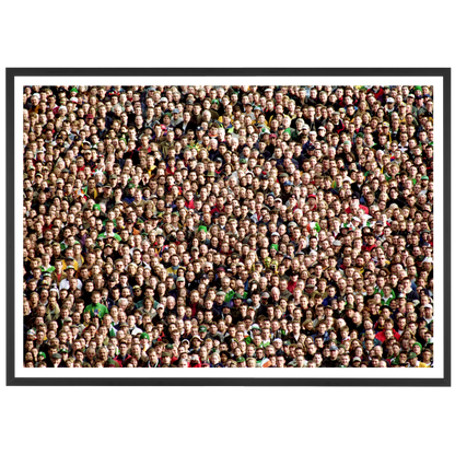 Public de Lansdowne Road, 1999