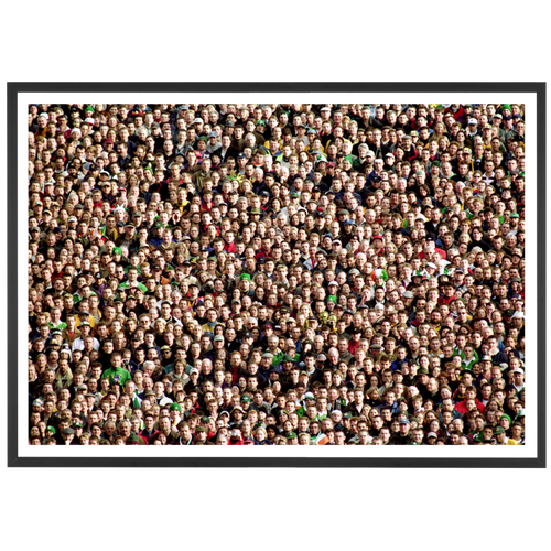 Public de Lansdowne Road, 1999